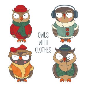 Owl